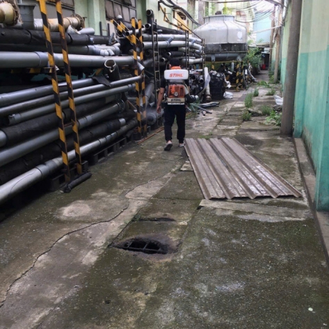 Liên hệ ngay công ty nhận diệt ổ kiến lửa tận gốc giá rẻ