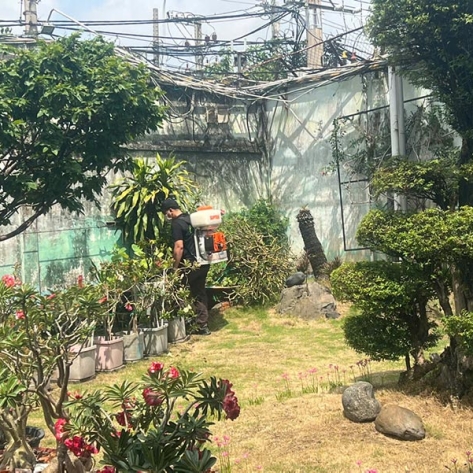 Bấm ngay để khám phá địa chỉ phun thuốc diệt muỗi giá rẻ Bình Dương
