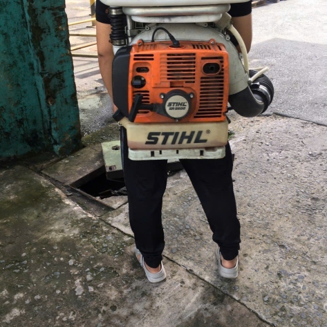 Diệt Mối Nhà Xưởng: Giải Pháp Bảo Vệ Tài Sản Hiệu Quả