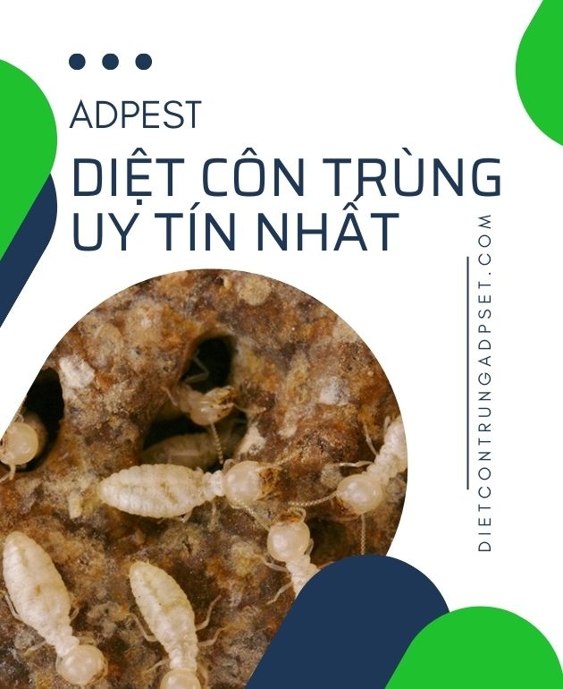 CÔNG TY TNHH THƯƠNG MẠI DỊCH VỤ ADPEST