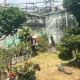 Bấm ngay để khám phá địa chỉ phun thuốc diệt muỗi giá rẻ Bình Dương