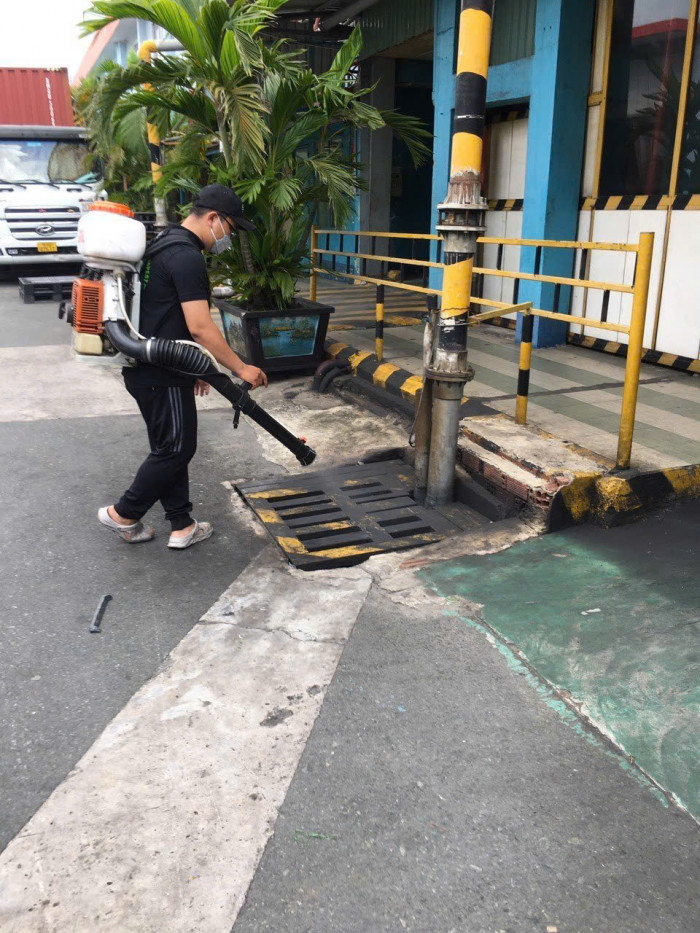 Quy trình diệt côn trùng