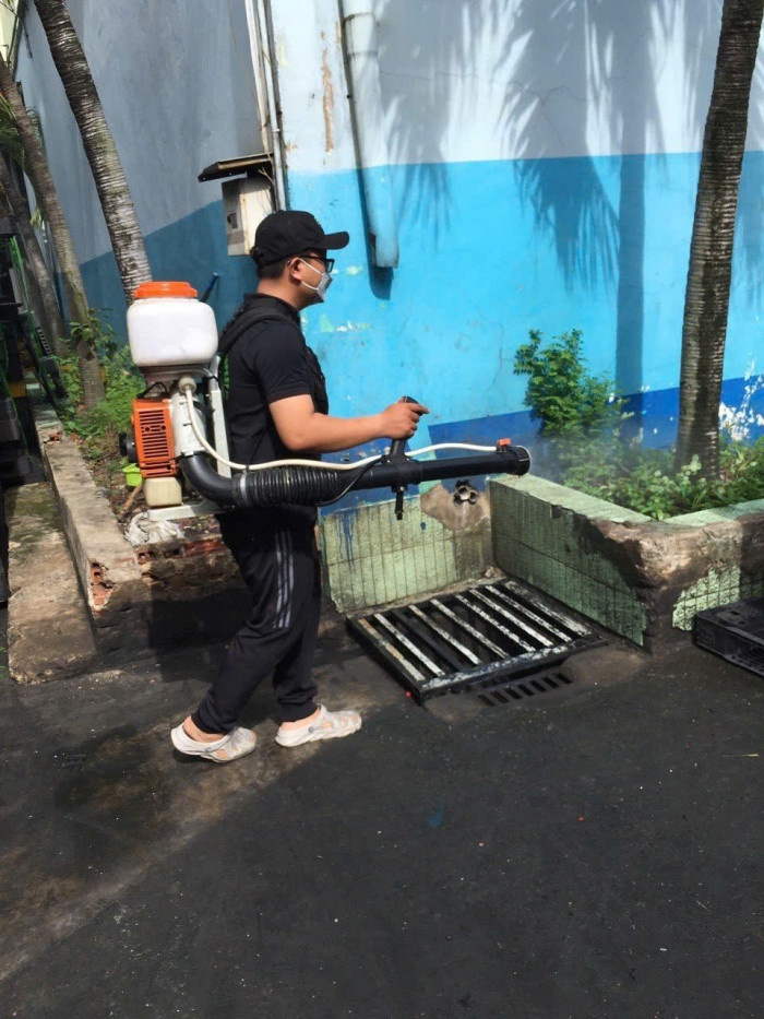Quy trình diệt mối tại TPHCM