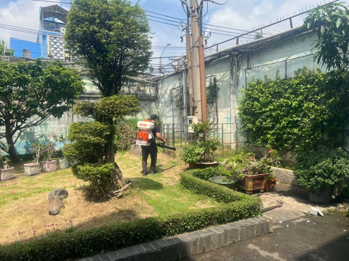 Dịch vụ diệt mối quận 9