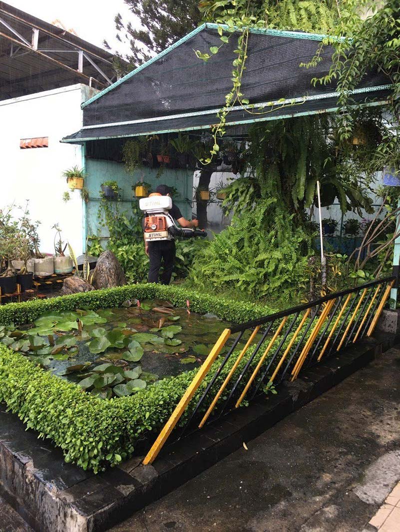 Dịch vụ phun thuốc diệt muỗi tại nhà TPHCM