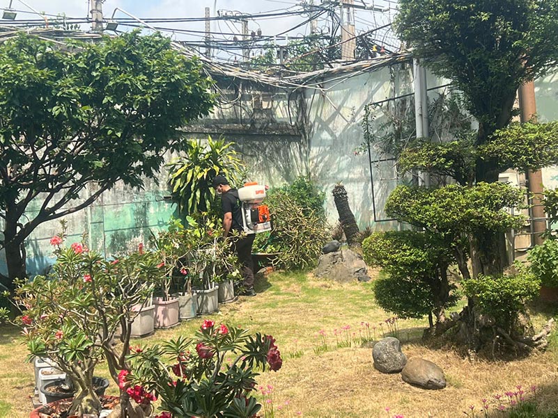 Phun thuốc diệt muỗi cho khu vực sân vườn biệt thự
