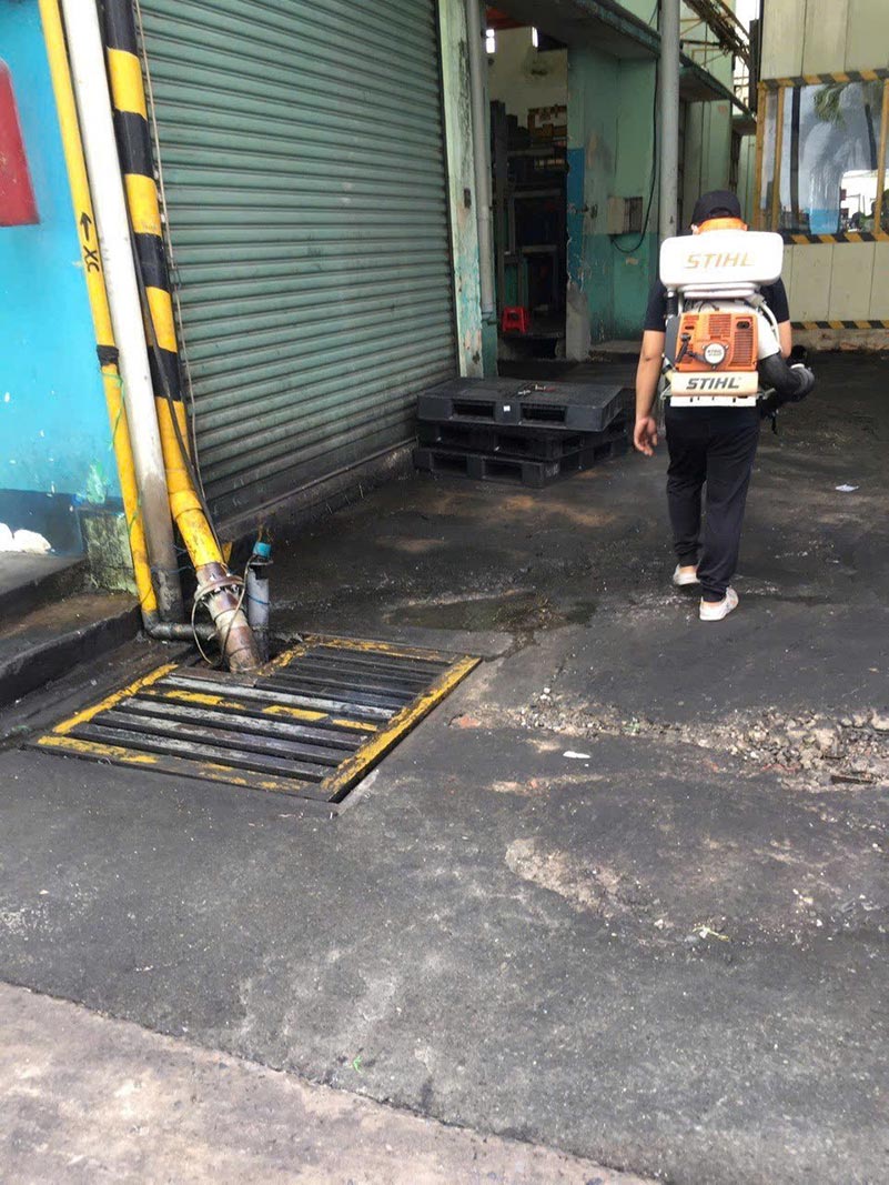 Công ty diệt mối chuyên nghiệp tại TPHCM