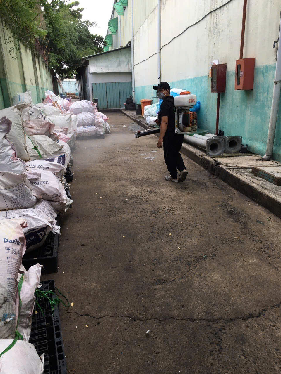 Dịch Vụ Diệt Mối Tại Quận 9: Giải Pháp Hiệu Quả Bảo Vệ Ngôi Nhà Của Bạn